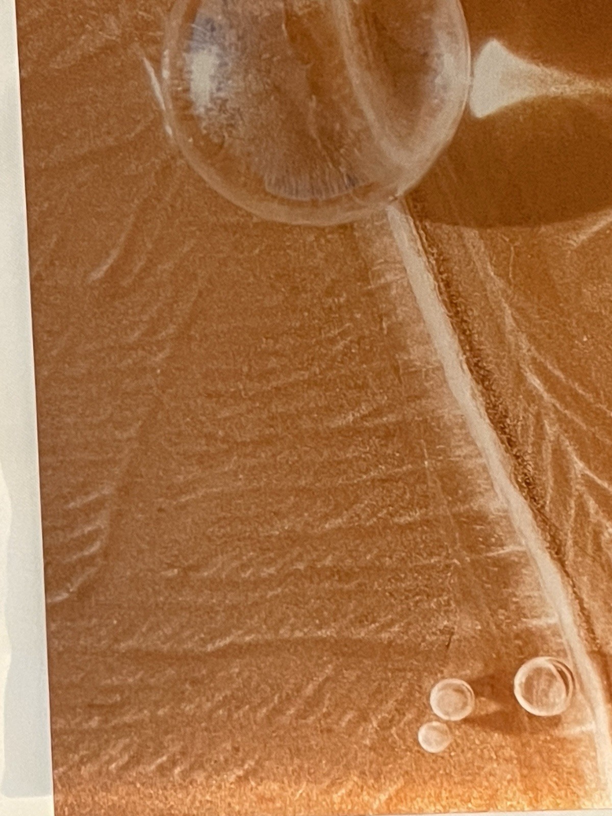 Original Photograph On Metal Sedona,Arizona By Claudia Cooke