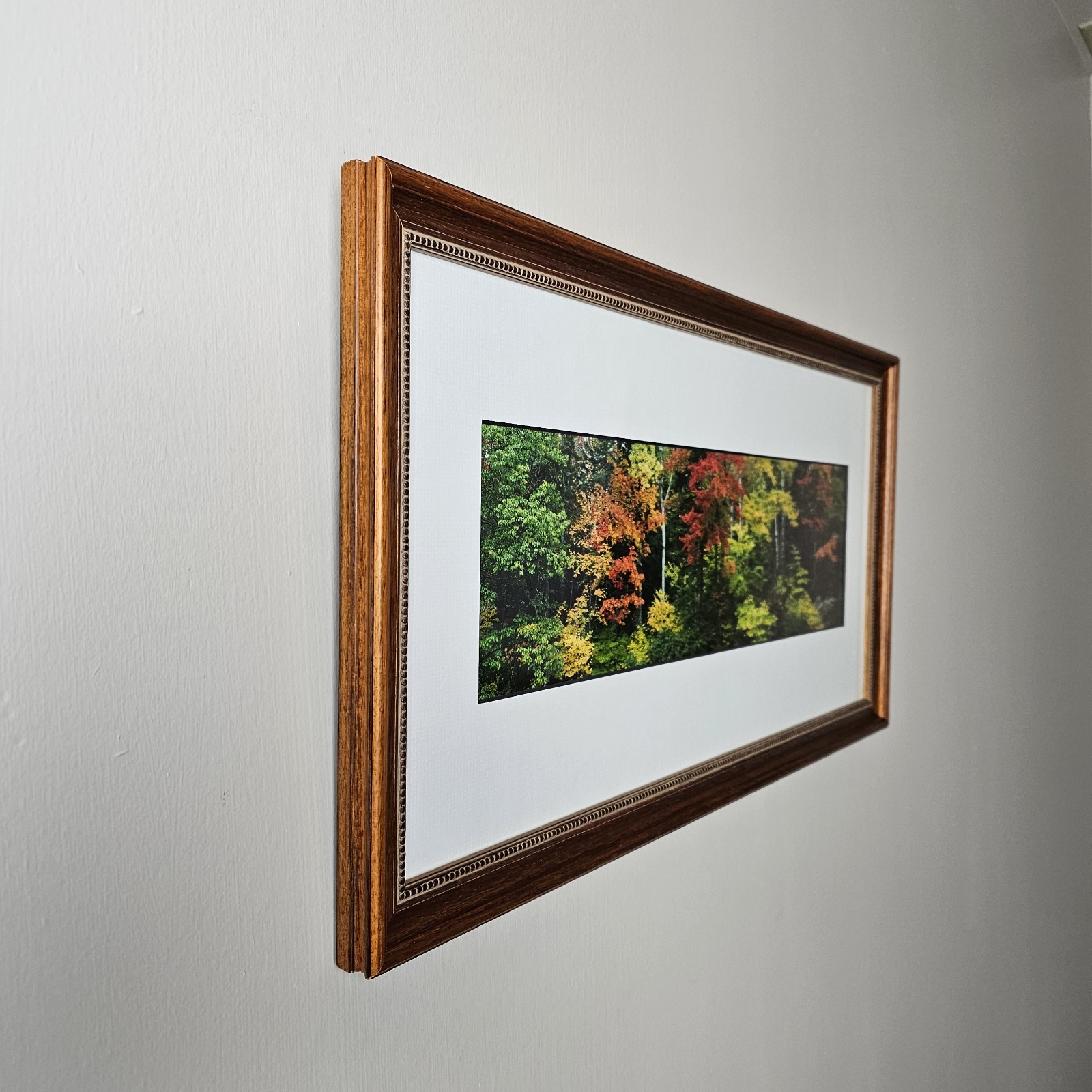 ART – Signed Gary Love Photograph 21.75×11.75 Framed Landscape Art – Maine Trees