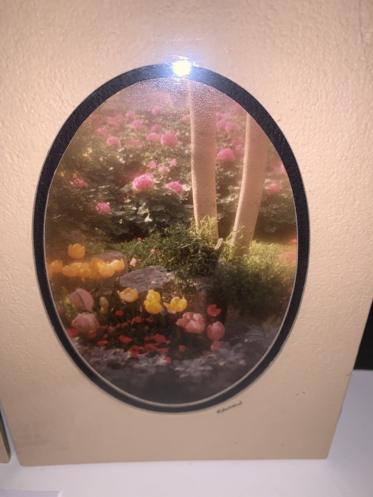 Pair Gamow Signed Floral Photography Art 5″ x 7″ Matted