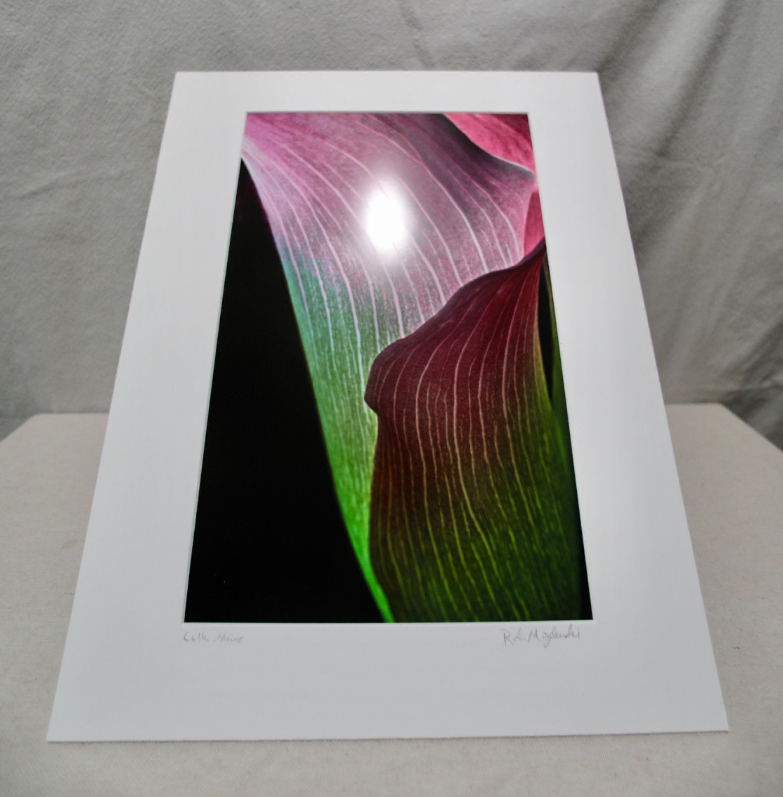 Original Photography Art Print “Calla, Mauve”