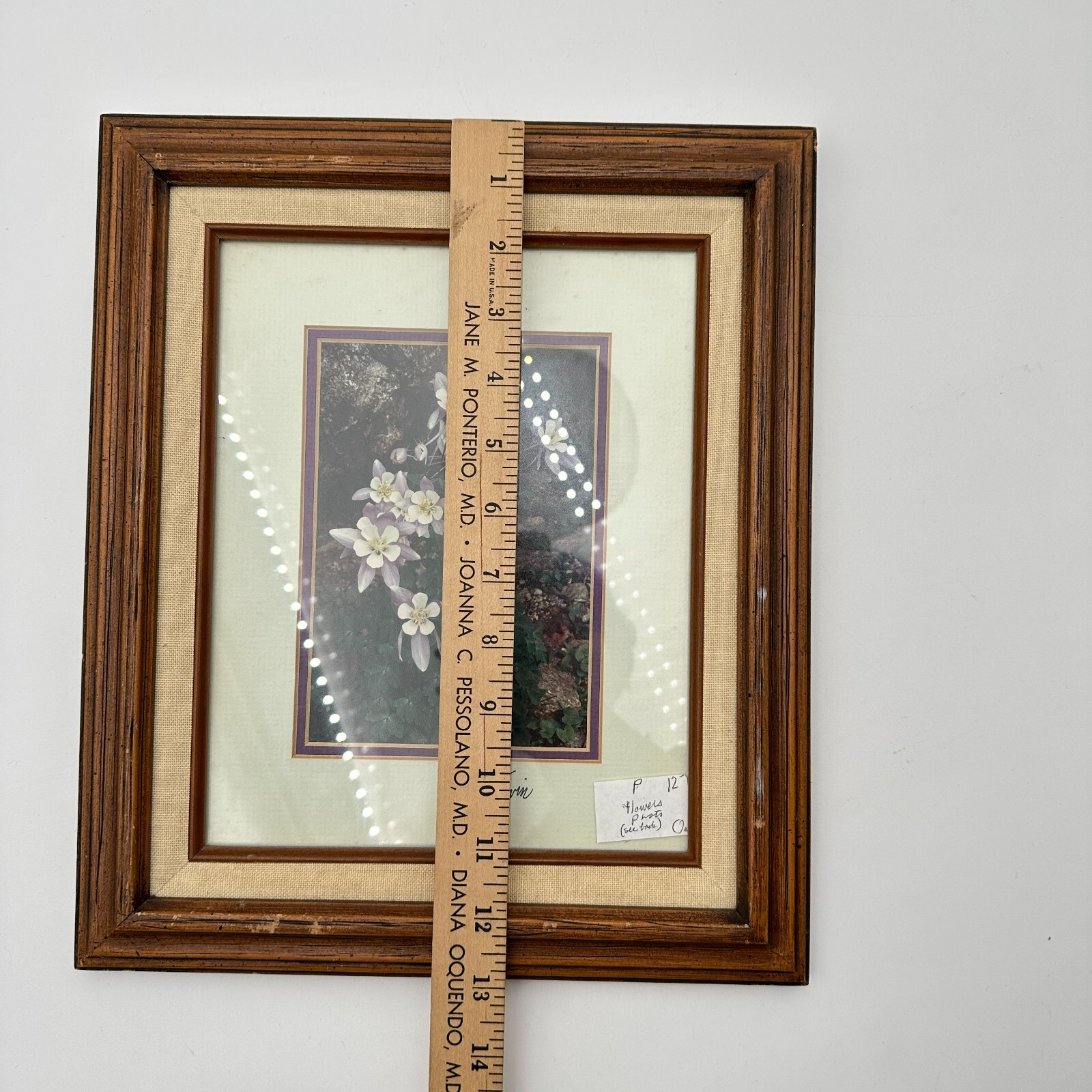 Vtg Natural Imagery Colorado Blue Columbine Photography by William Ervin Signed