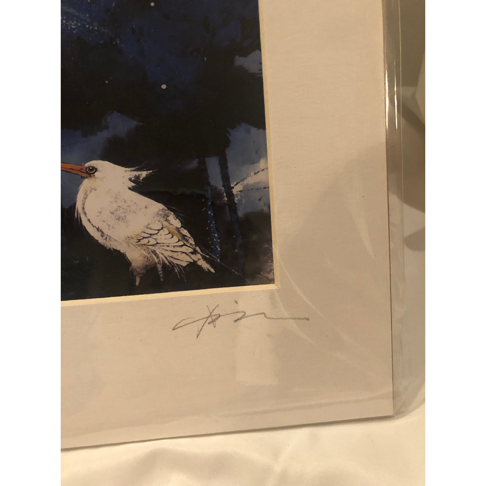 Abstract Photo Of Floral Garden Birds in Water signed and #50/21