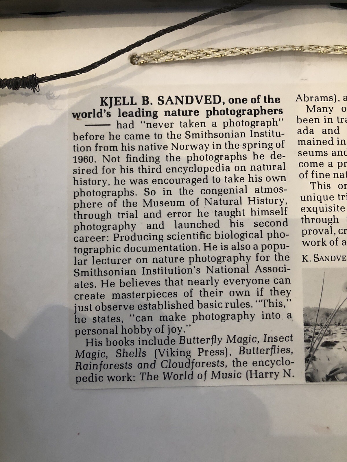 ORIGINAL Kjell B. Sandved NAUTILUS SHELL ART PHOTO Hand Signed L.E. Triple Mat