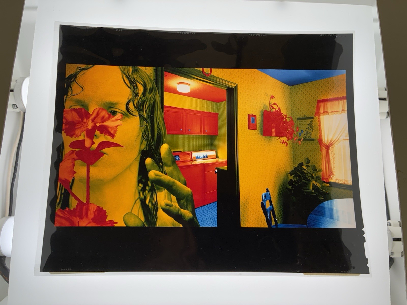 Sandy Skoglund Transparency Archive Lot Revenge Goldfish Radioactive Cats