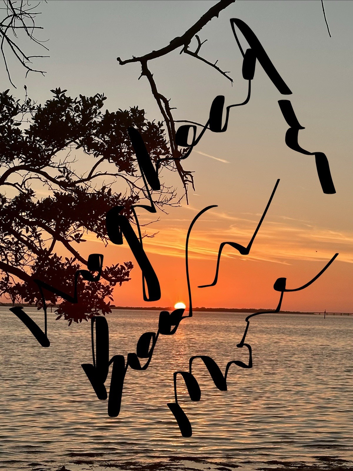 Sunset Photography