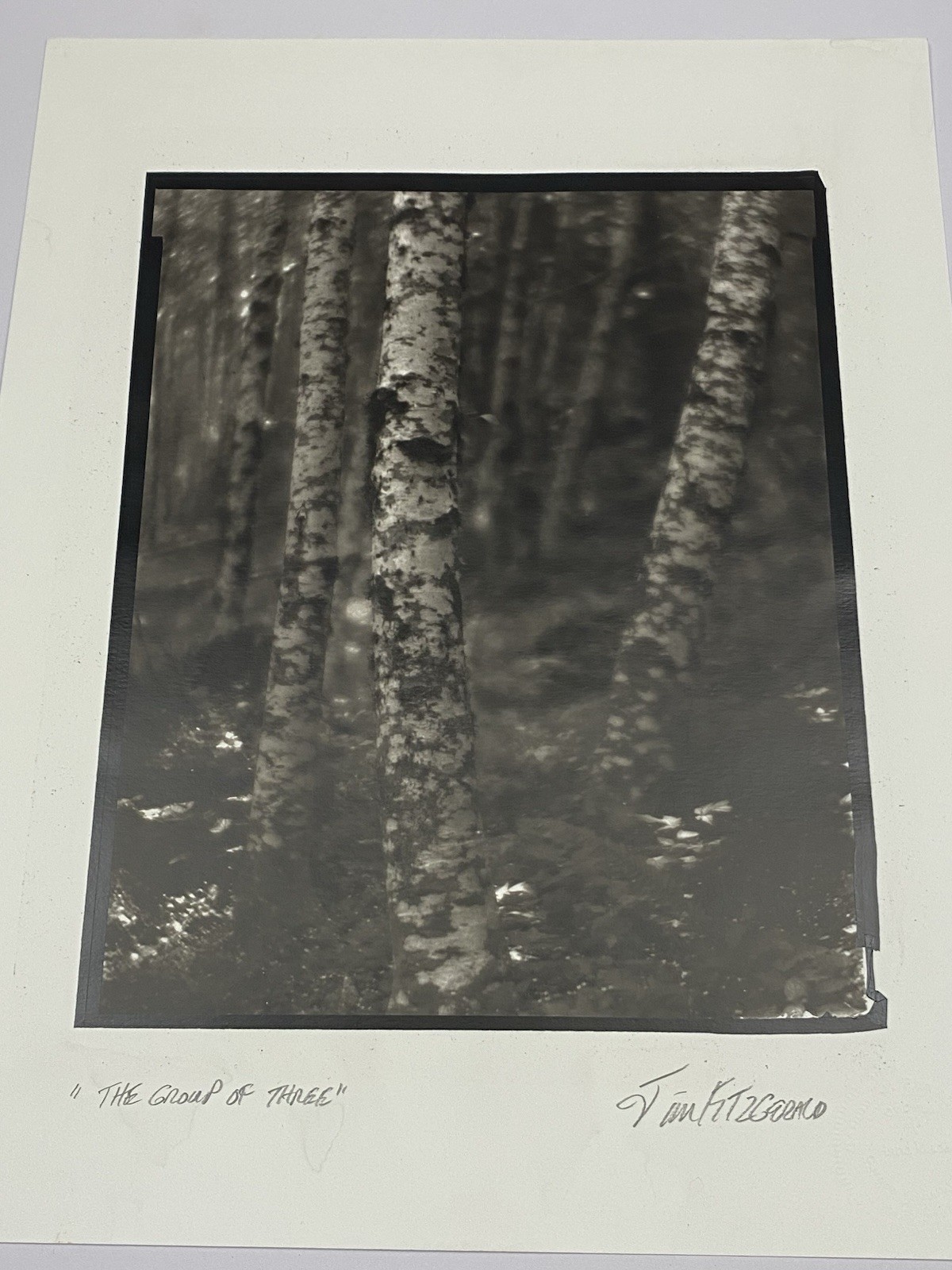 Jim Fitzgerald The Group of Three Signed Photograph Carbon Transfer