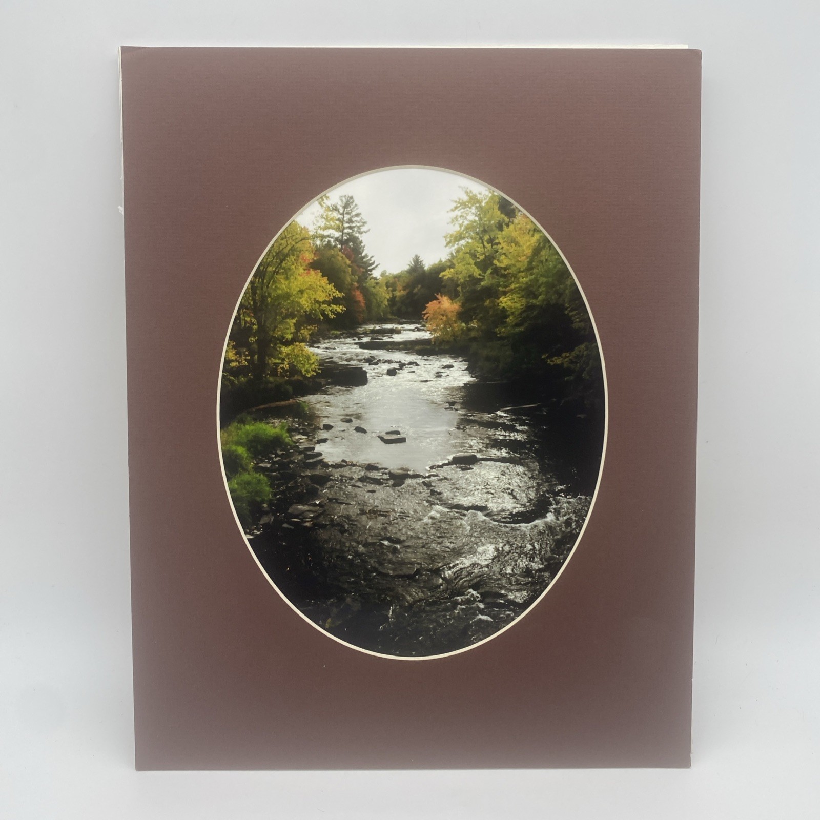 Matted River Forest Landscape Photo Print 11 X 14 Wall Art Gallery Decor
