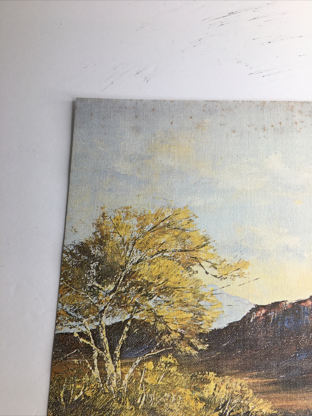 Vintage MCM Art Treasures Inc John Loo Nature Lithograph on Canvas Unframed G3