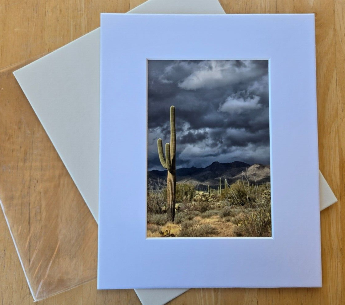 Unsigned 5″ X 7″ Photograph in Cardboard Frame 8″ X 10″ Desert Saguaro Cactus