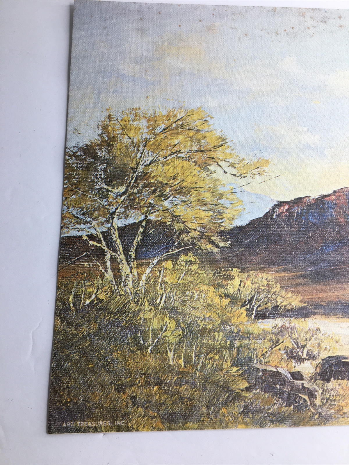 Vintage MCM Art Treasures Inc John Loo Nature Lithograph on Canvas Unframed G3