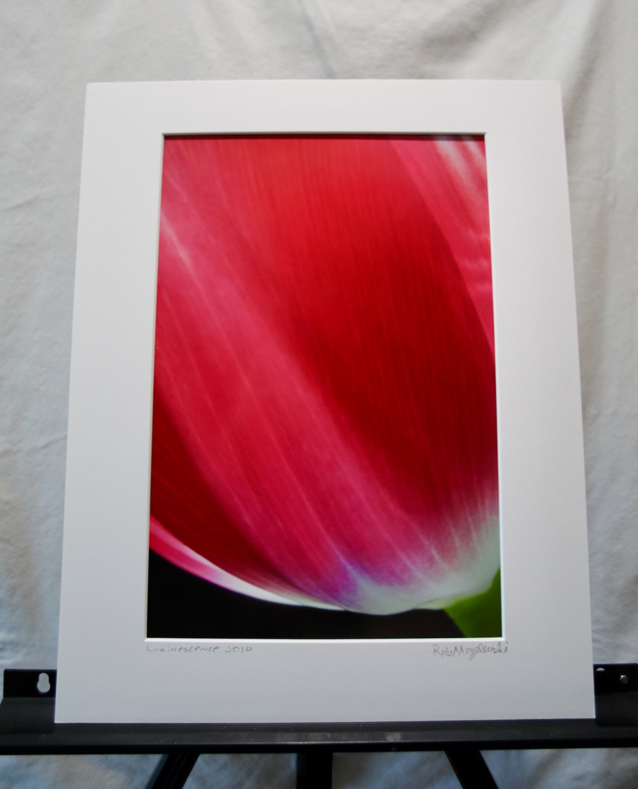 Original Photography Art Print “luminescence”