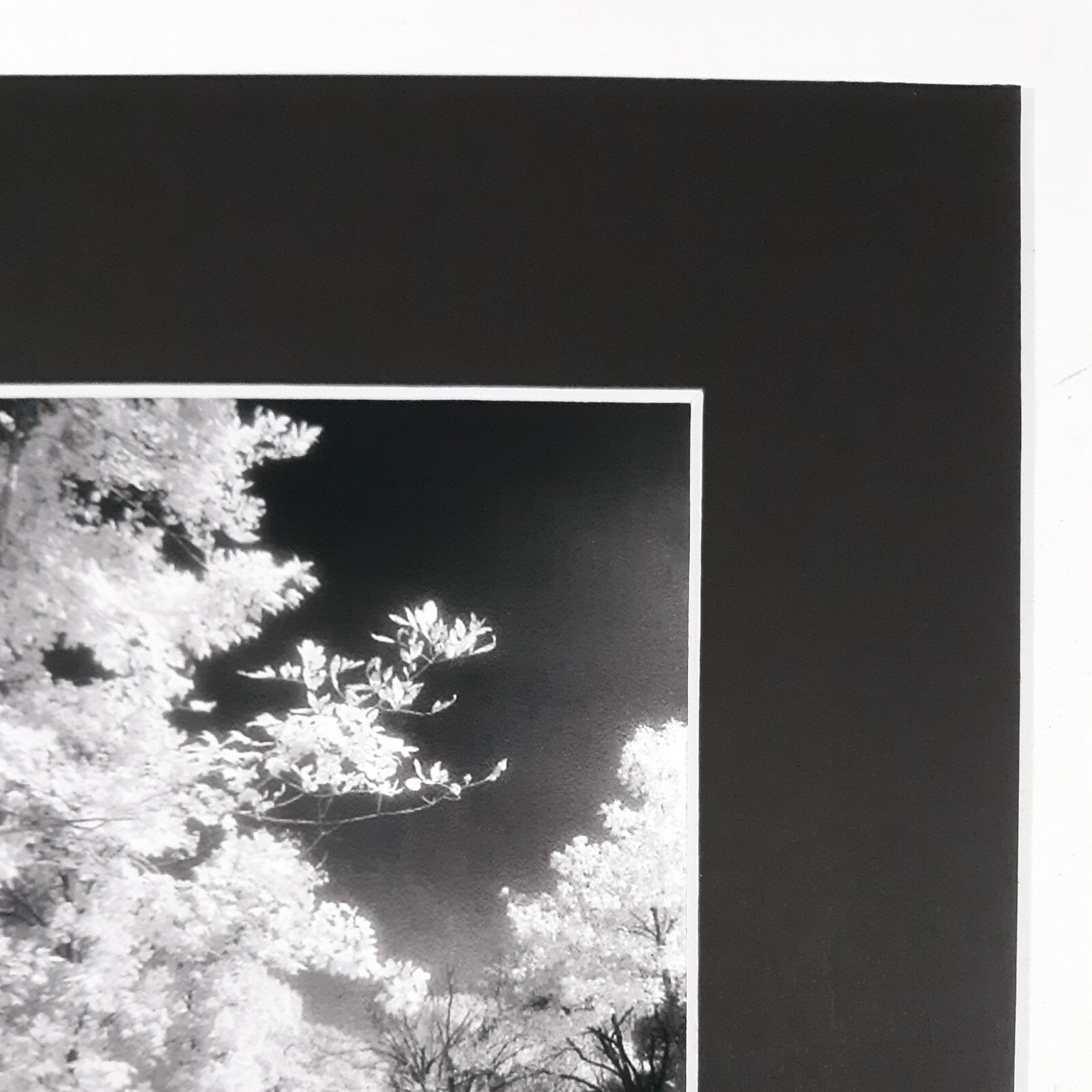 Black Mat Photo Landscape Park Infrared Photography Bridge Trees Art Print