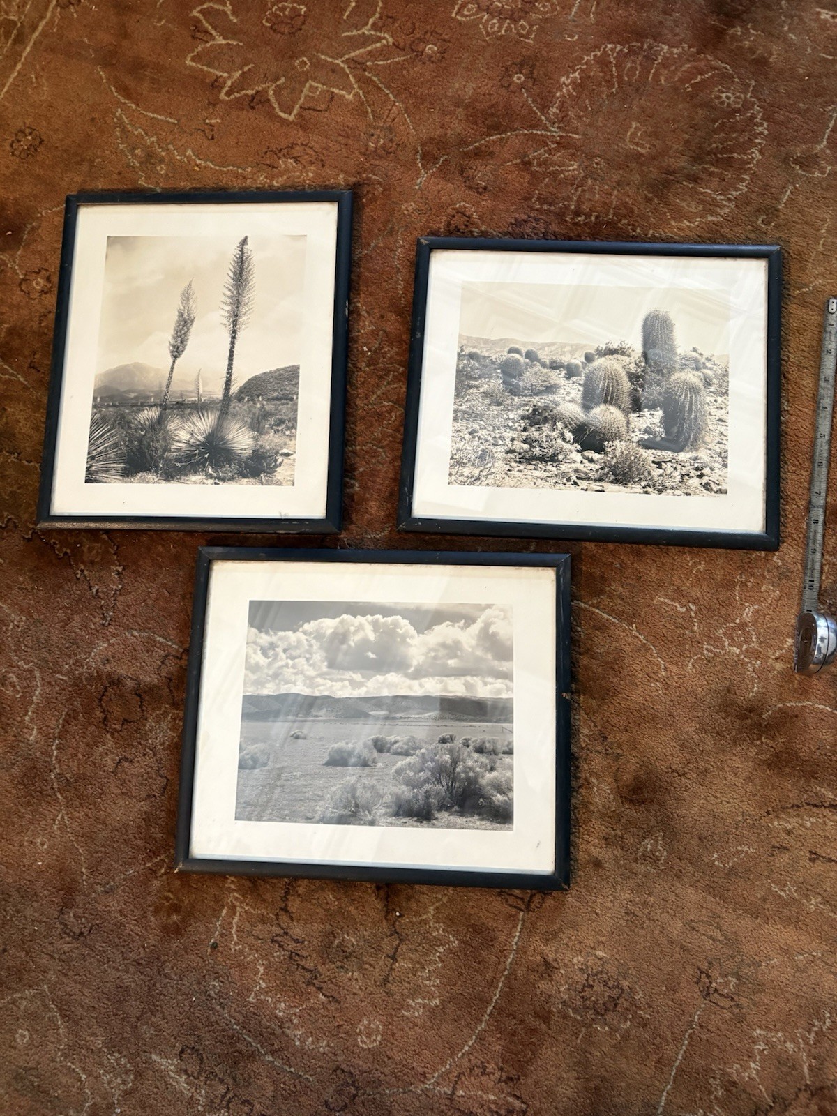 Mid Century Modern Southwestern Art Photographs Desert Cactus Mountains Sky