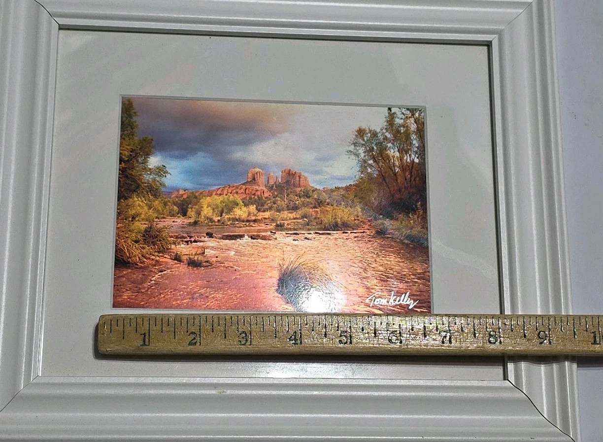 Tom Kelly Red Rock Fever Arizona Desert Photo Art Matted Signed 12”X16” Canyon