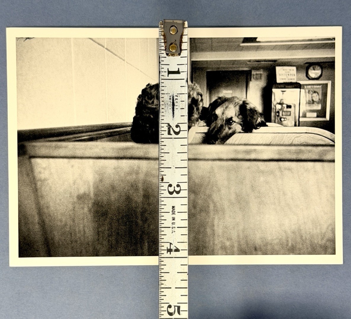 Elliott Erwitt Art Photo Print Card By Fotofolio – New York City, 1953
