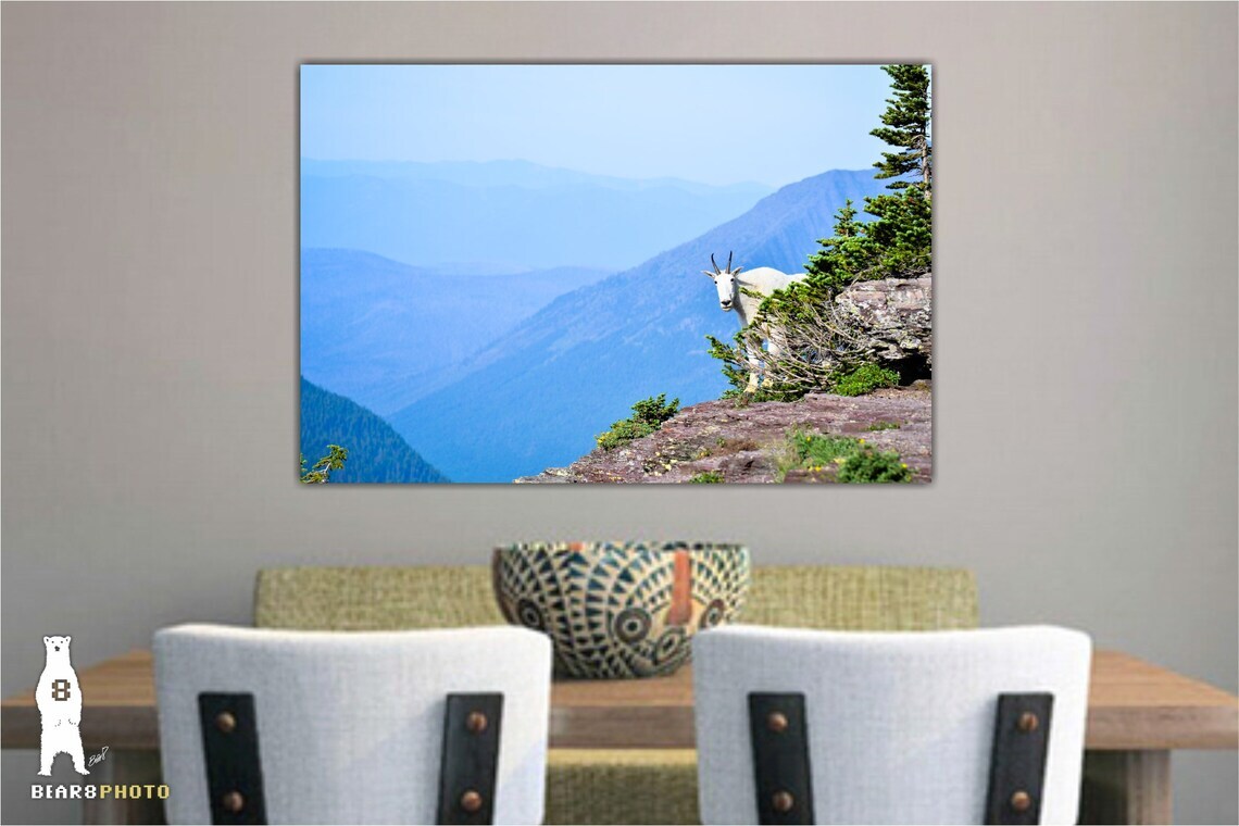 Mountain Goat Wildlife Photography Prints – Glacier National Park, Montana