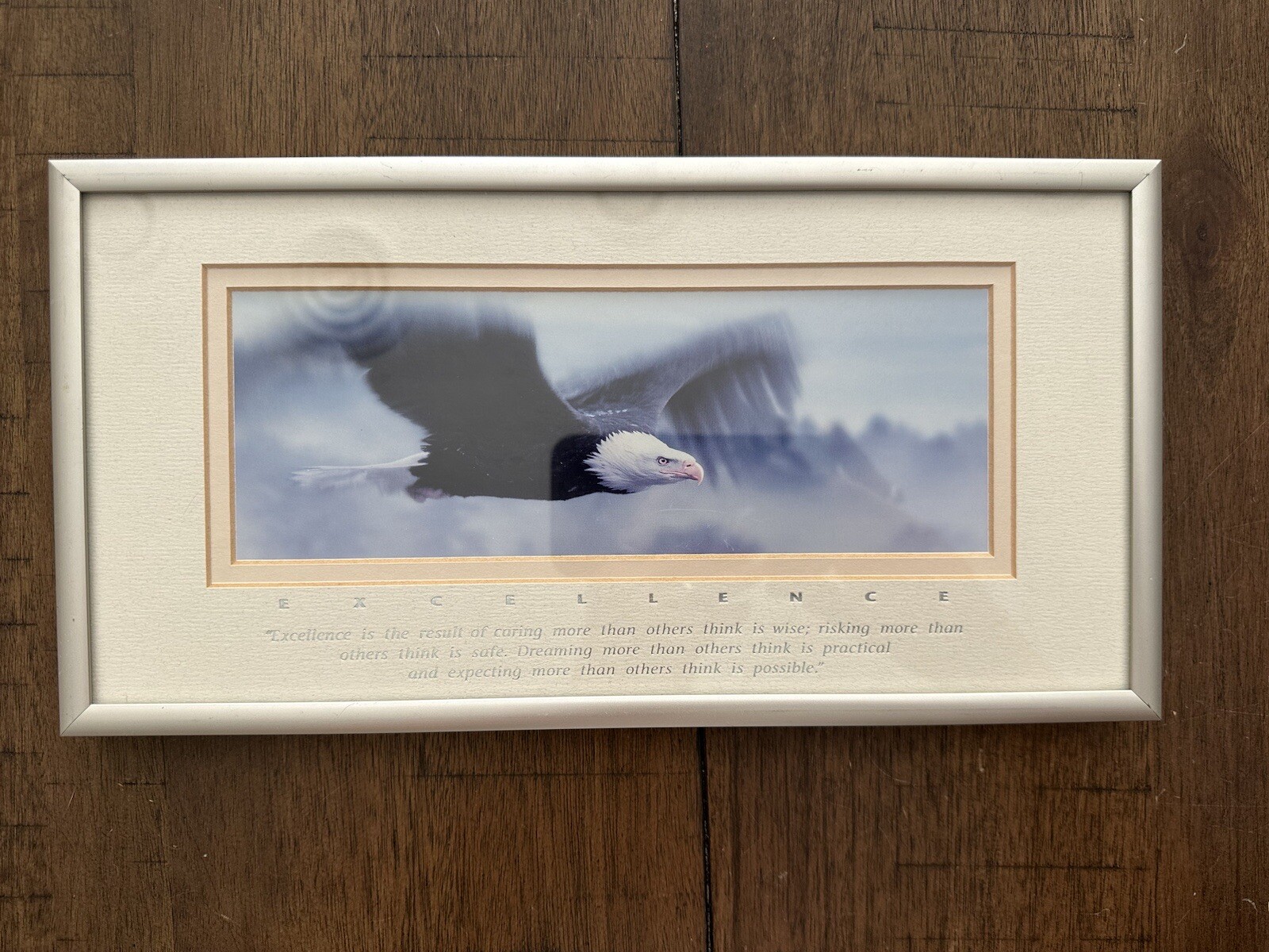 Excellence “King Of The Skies” Eagle Portrait, Photography By Frank Oberle EUC