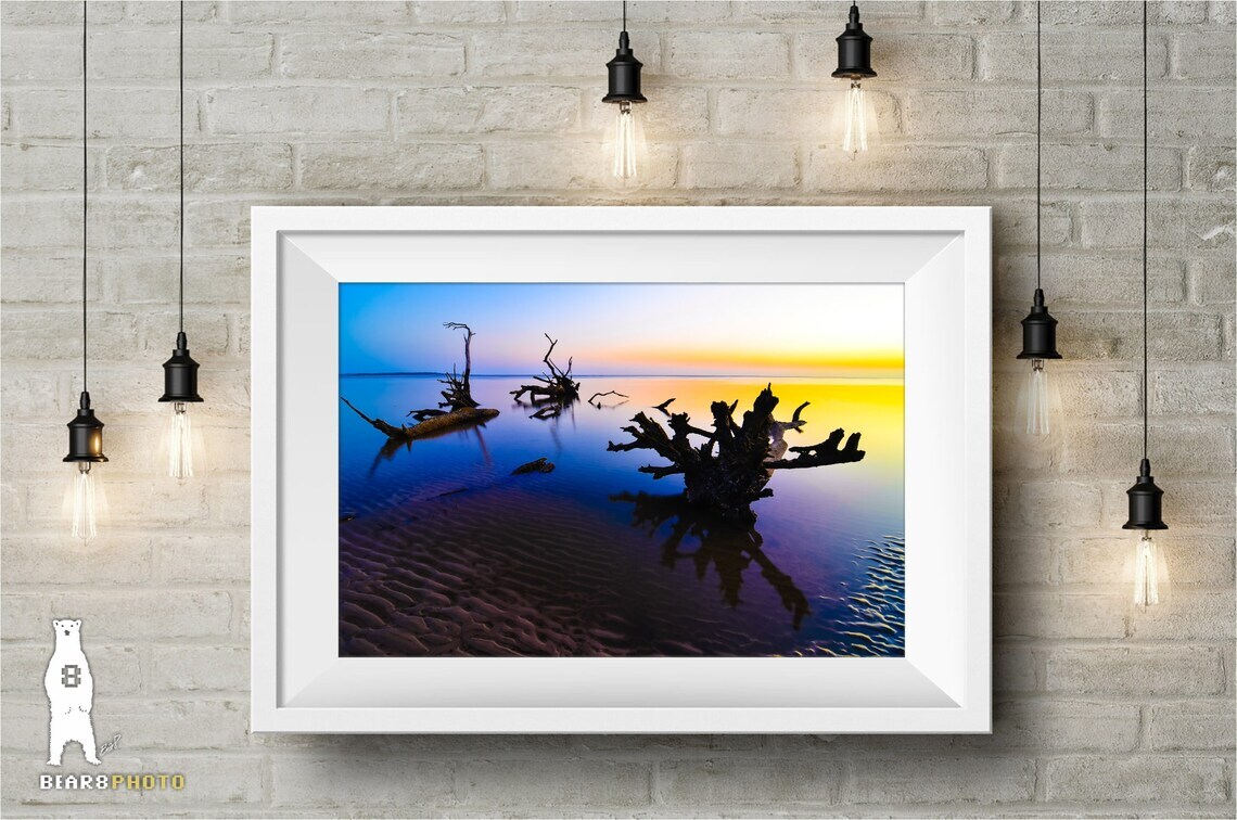 Boneyard Beach Sunrise – Big Talbot Island Florida – Fine Art Photography Prints