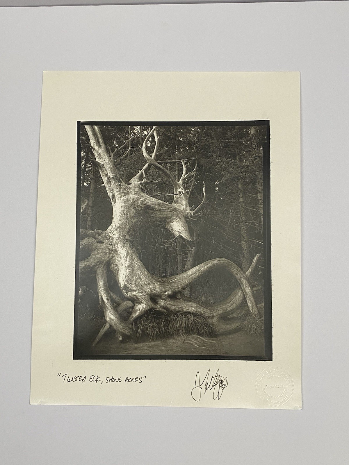 Jim Fitzgerald Twisted Elk Shore Acres Signed Photograph Carbon Transfer