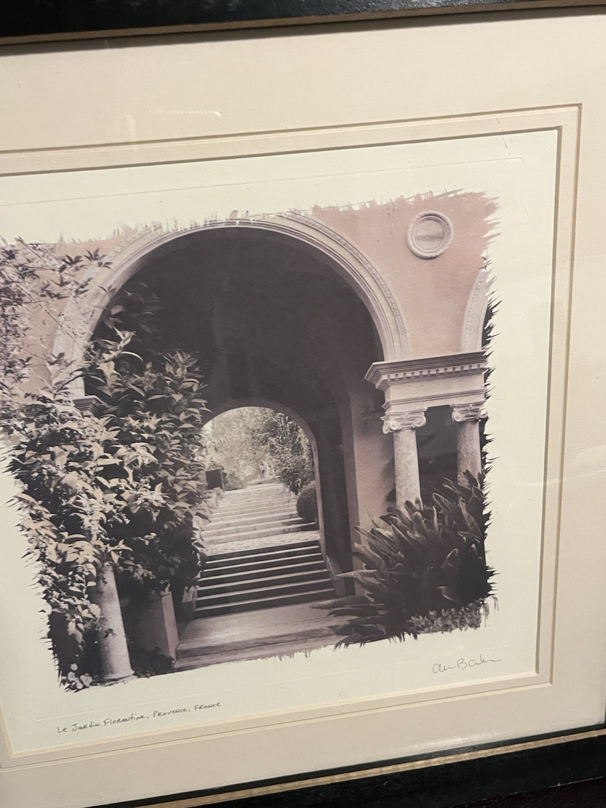 European Garden By Allan Blaustein Photography Framed With Glass 18 1/2 X 18 1/2