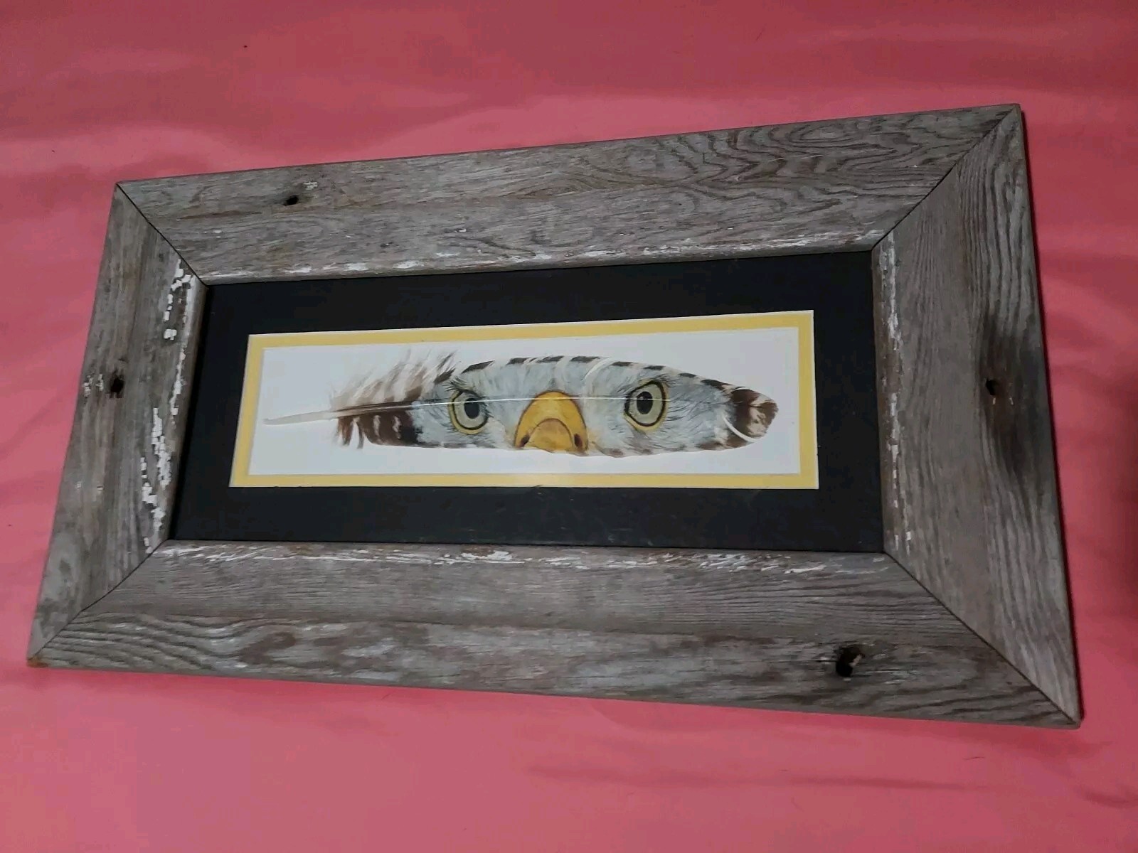 Picture of Painted Turkey Feather With Bald Eagle Eyes Beak Vtg Look Wood Frame