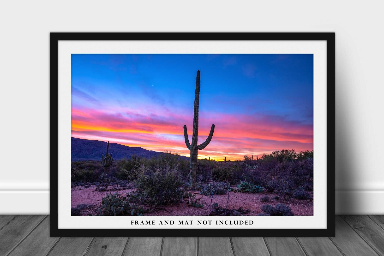 Saguaro Photography Print: Arizona Cactus Desert Southwest Landscape Photo