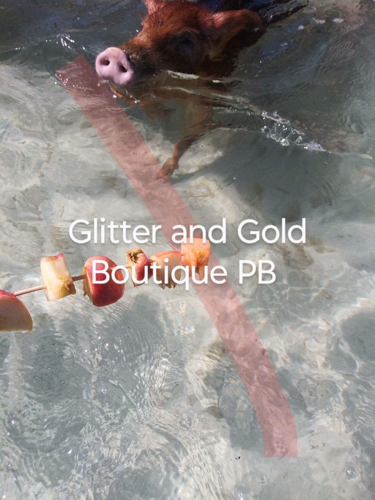 Digital Image Picture Photo Swimming With The Pigs Bahamas