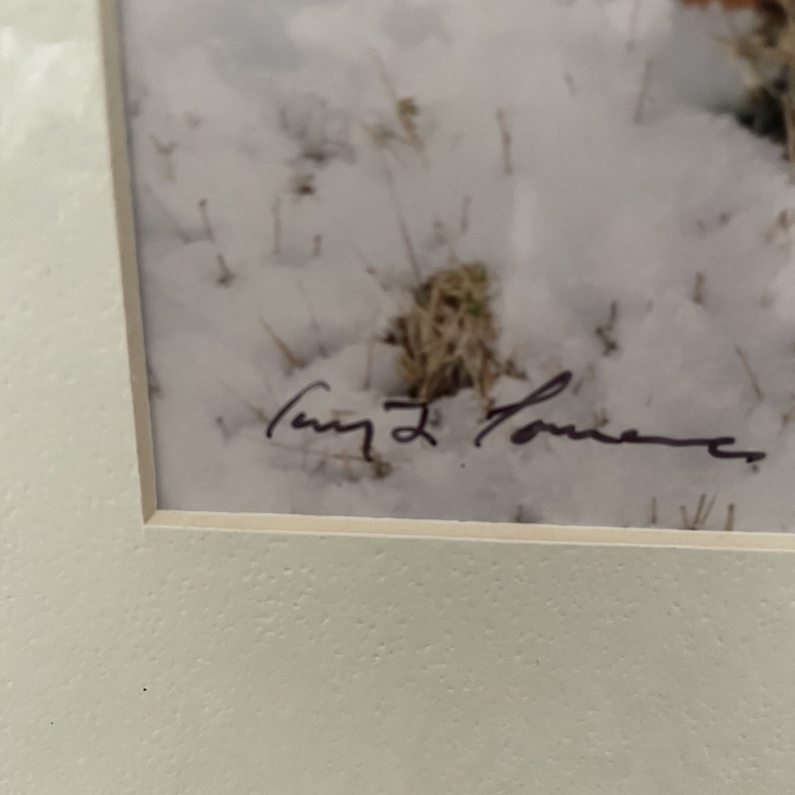 Gerry Lamarre Wildlife Photographer Print Black Lab Hunting Rifle Pheasant Snow