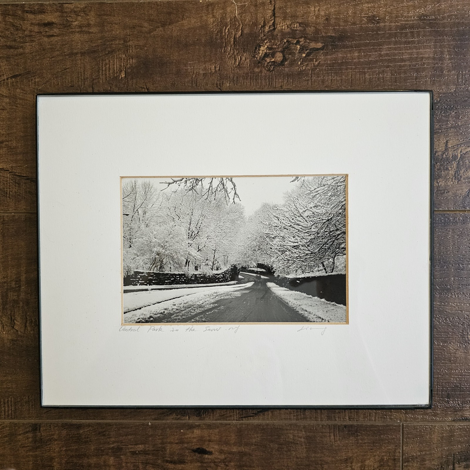 Vintage Photograph Framed Black White Signed CENTRAL PARK , NEW YORK Snow Winter