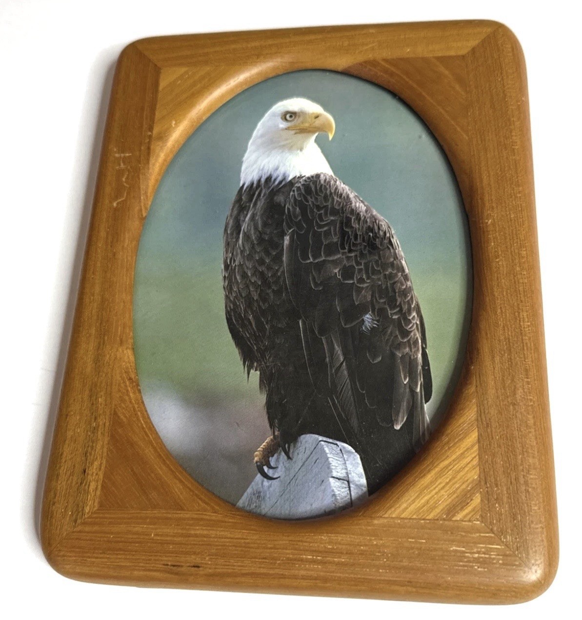 Wood Picture Frame 8×6 -Oval Opening- Bald Eagle Photo Rustic Decor