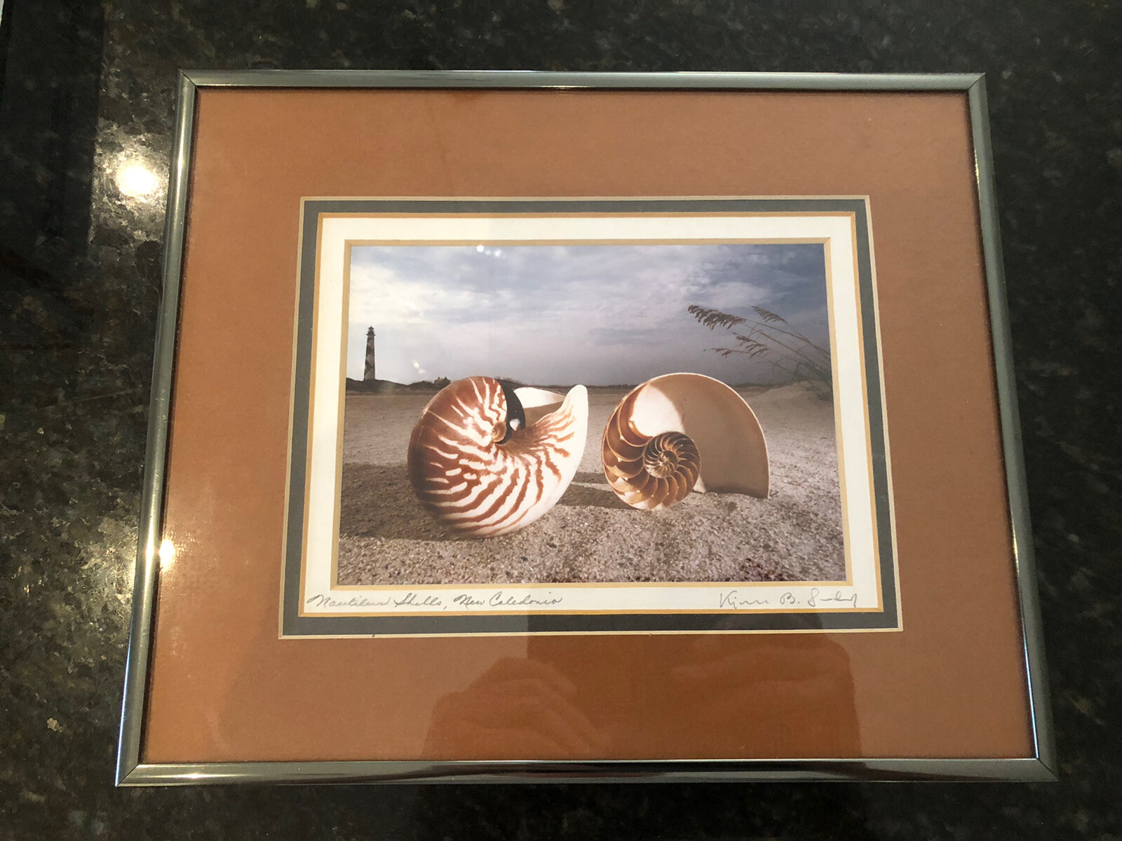 ORIGINAL Kjell B. Sandved NAUTILUS SHELL ART PHOTO Hand Signed L.E. Triple Mat