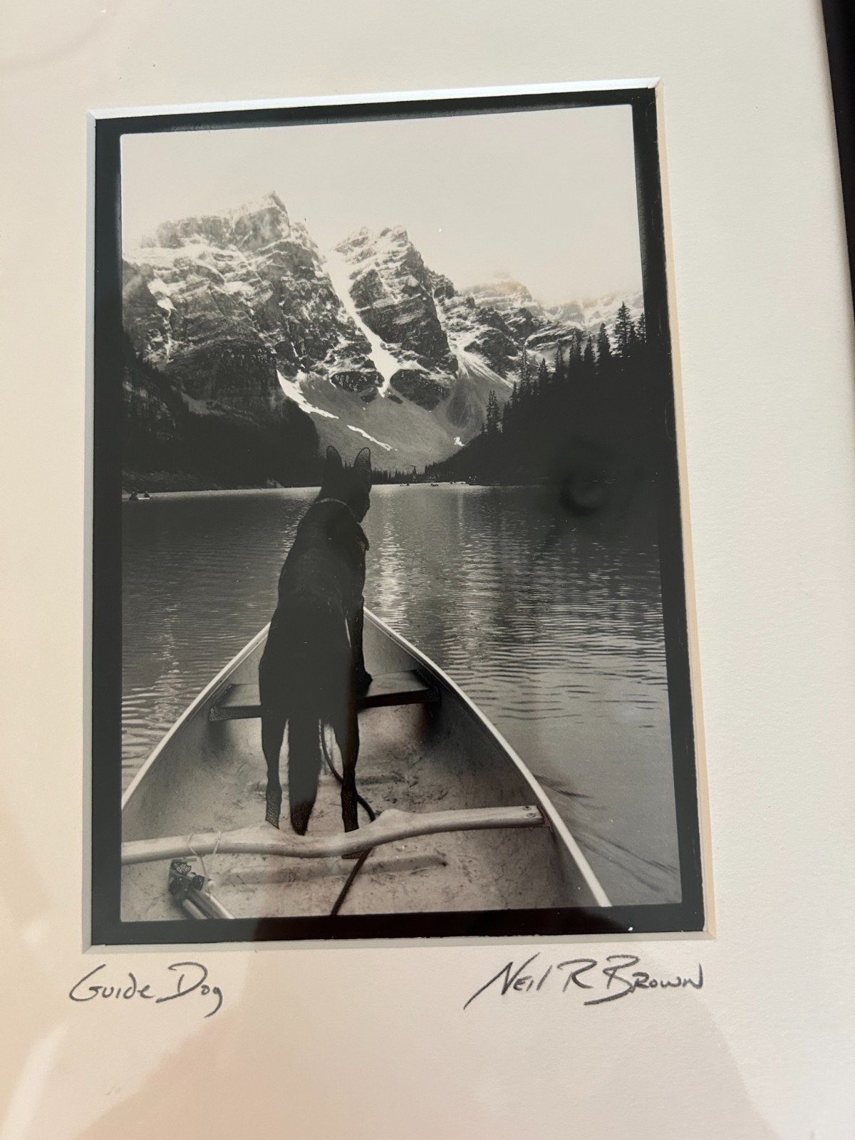 Framed Neil R. Brown “Guide Dog” Black And White Photograph Signed