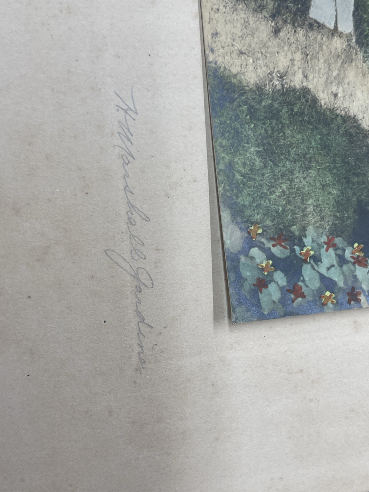 H. Marshall Gardiner Nantucket, MA Hand Colored Photo Print Signed Sweet Flower