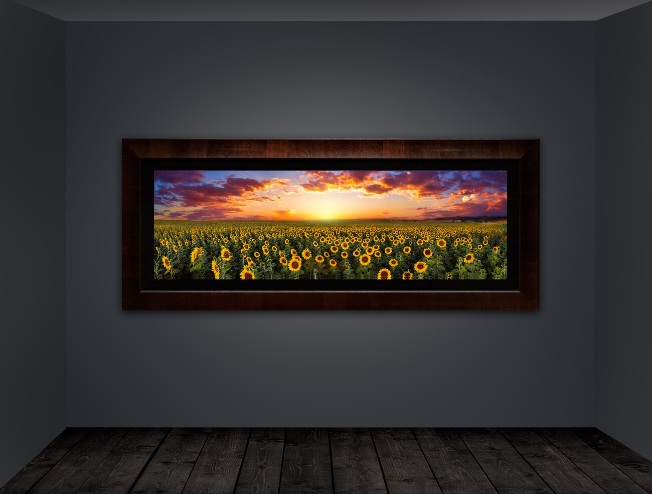 Limited Edition Acrylic Mounted Metallic Fine Art Photograph