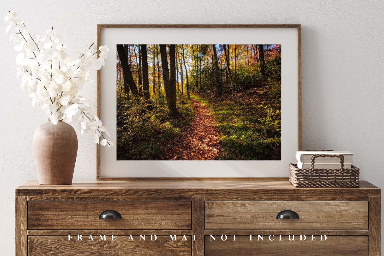 Great Smoky Mountains Photography Print – Hiking Trail in Forest in Tennessee