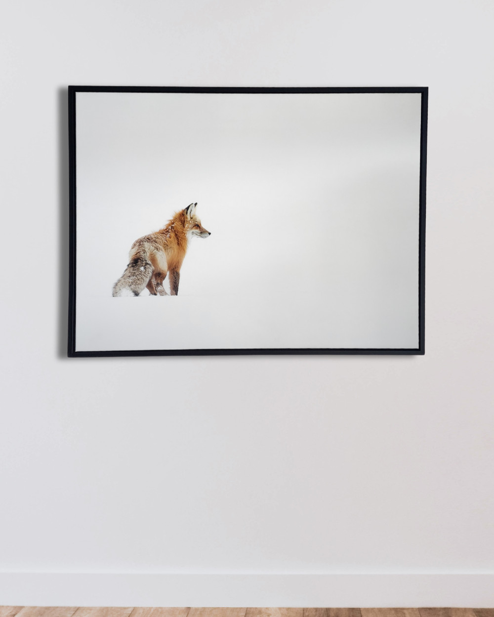 Red Fox in Yellowstone 40×30 inch Framed Canvas Wildlife Photography Print