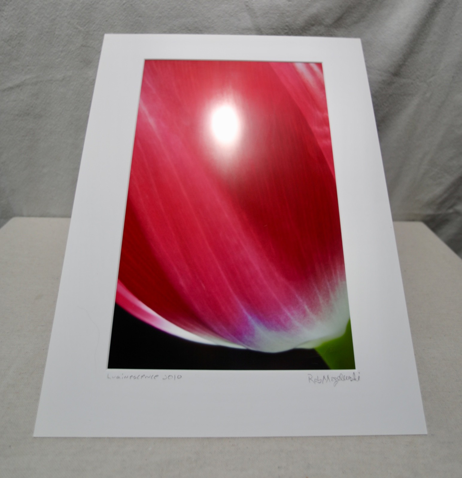 Original Photography Art Print “luminescence”