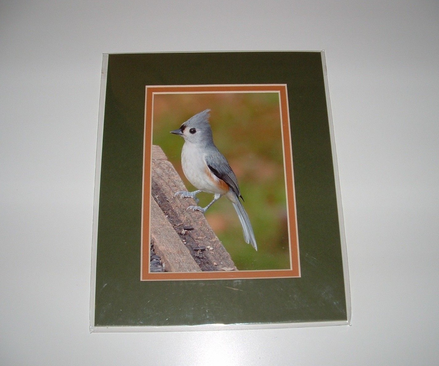 Titmouse Bird Matted Photo, 8″x10″, Nature Focus Art, pre-owned (Unopened)