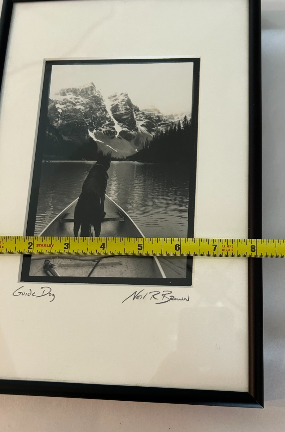 Framed Neil R. Brown “Guide Dog” Black And White Photograph Signed