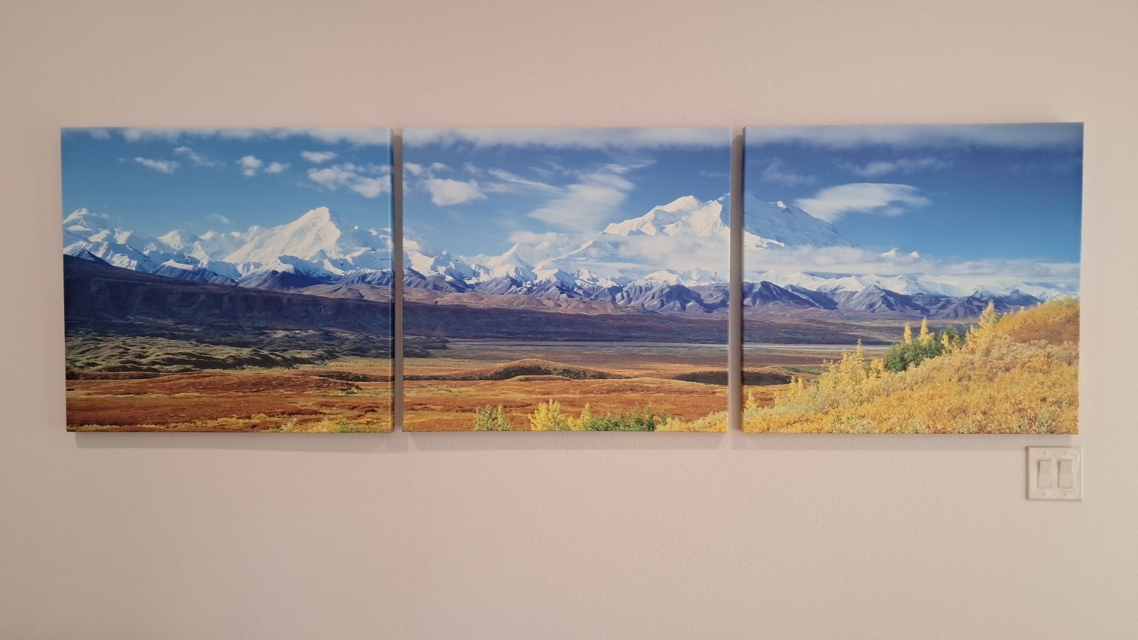 HUGE! 3x 30″x28″ Triptych print on canvas – Denali National Park.