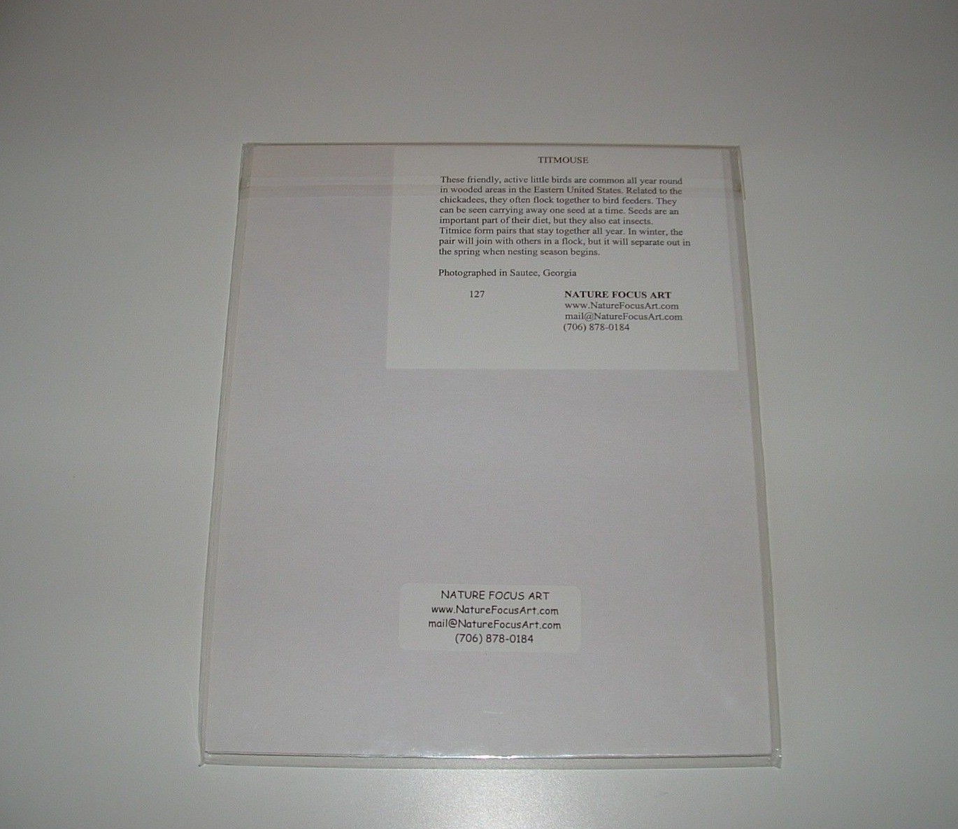 Titmouse Bird Matted Photo, 8″x10″, Nature Focus Art, pre-owned (Unopened)