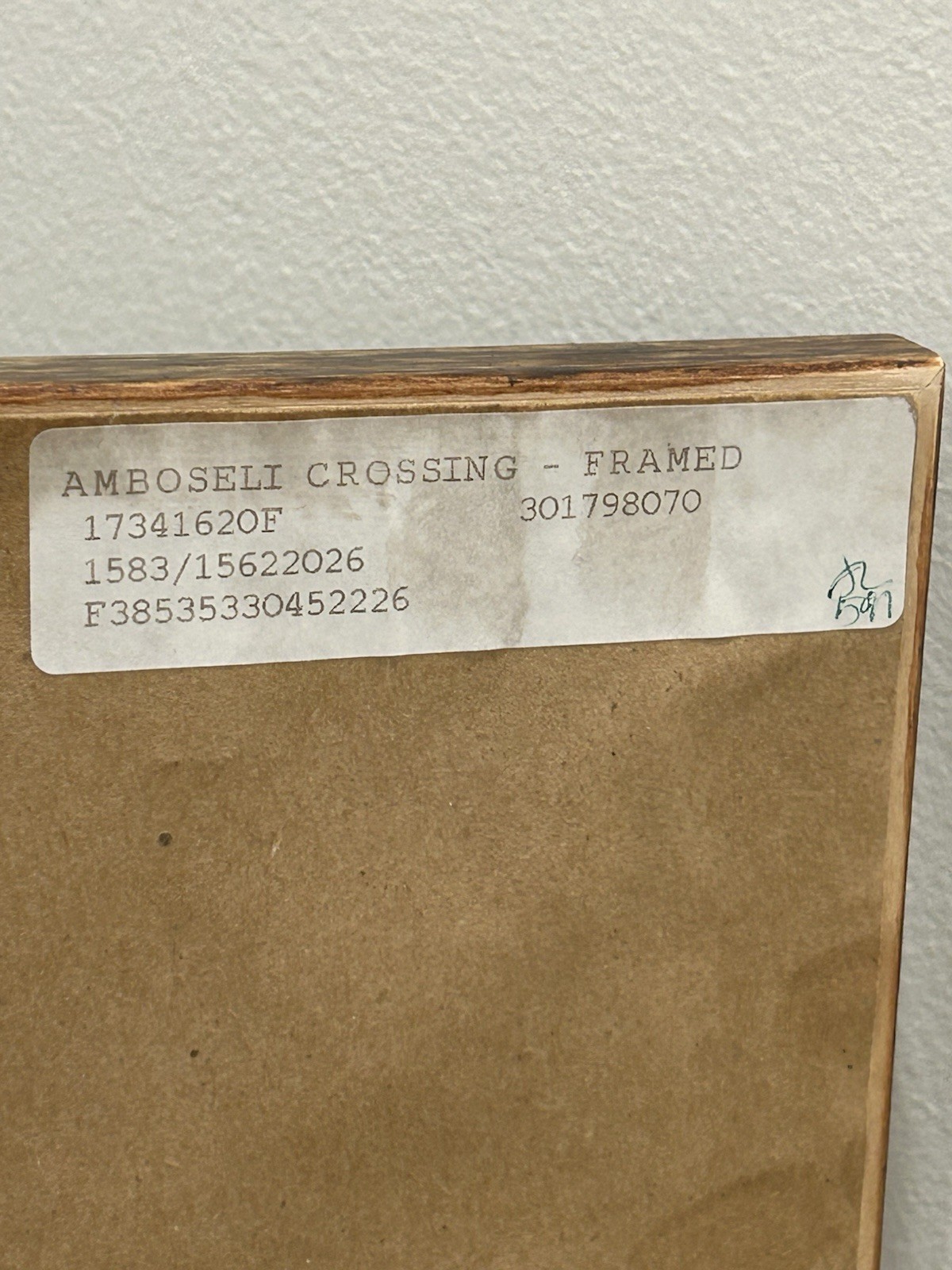 Thomas Mangelsen – Amboseli Crossing (16×20) In Gallery Frame