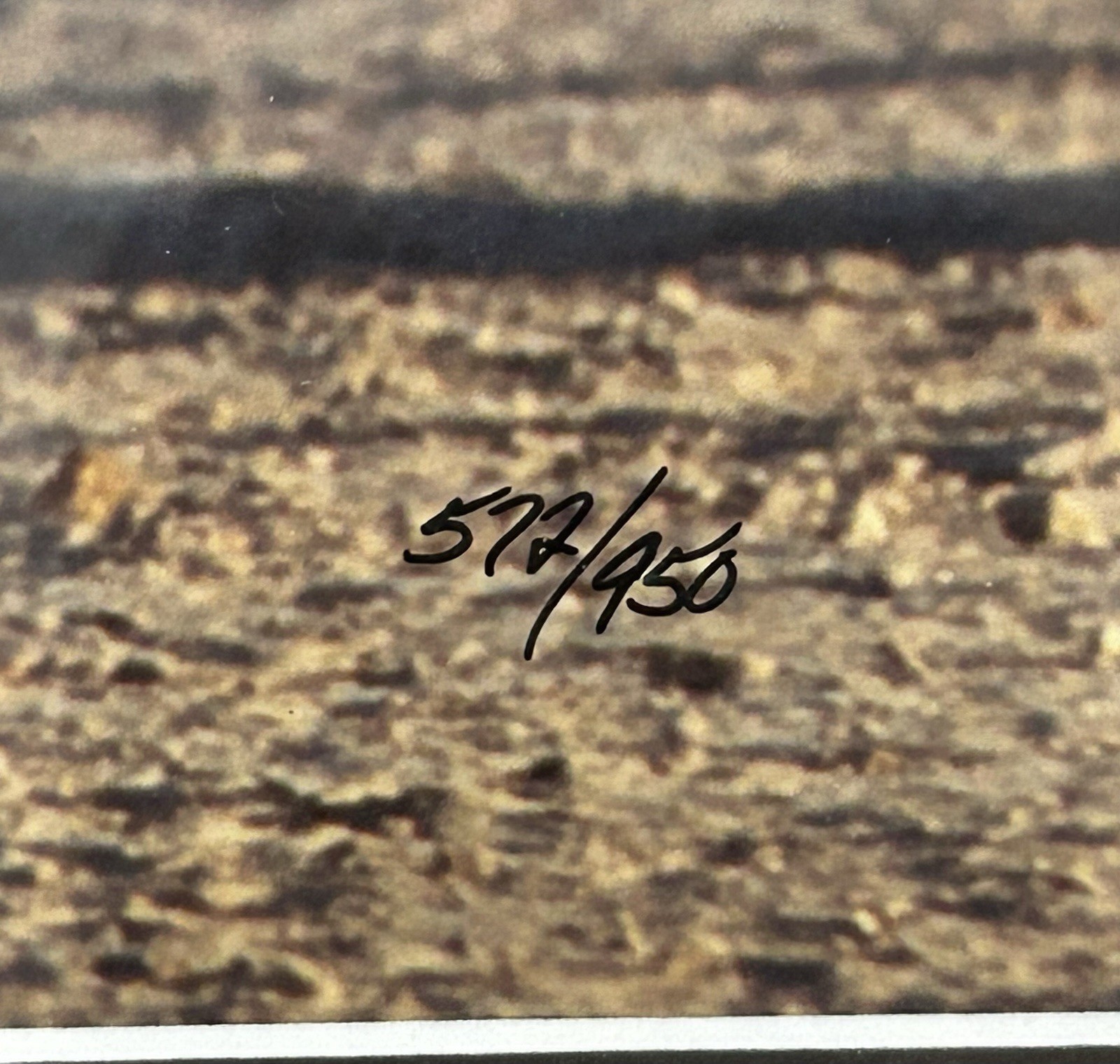 Thomas Mangelsen – Amboseli Crossing (16×20) In Gallery Frame