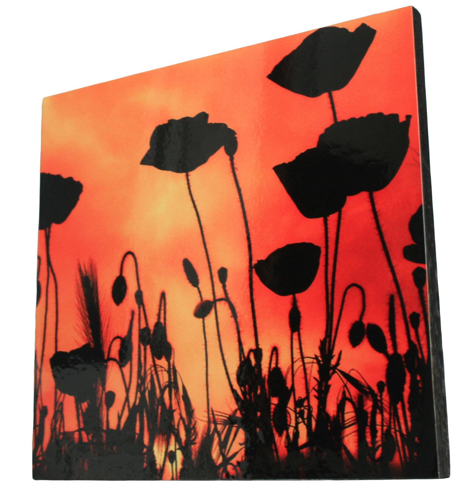 Original photograph of POPPIES Block Mounted and laminated 28 x 29 cm by Senka