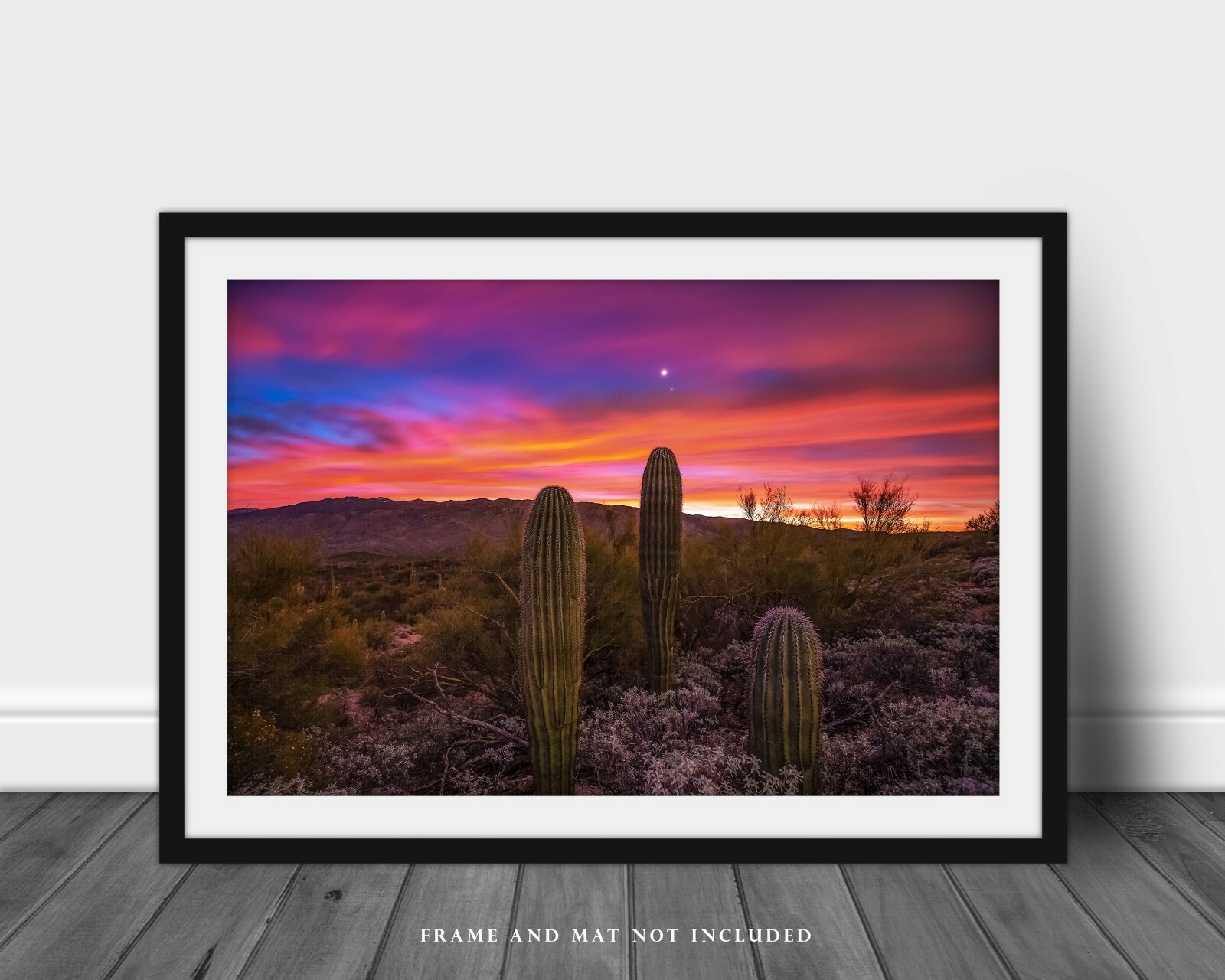 Saguaro Cactus Photography Print | Sonoran Desert Picture | Arizona Wall Art