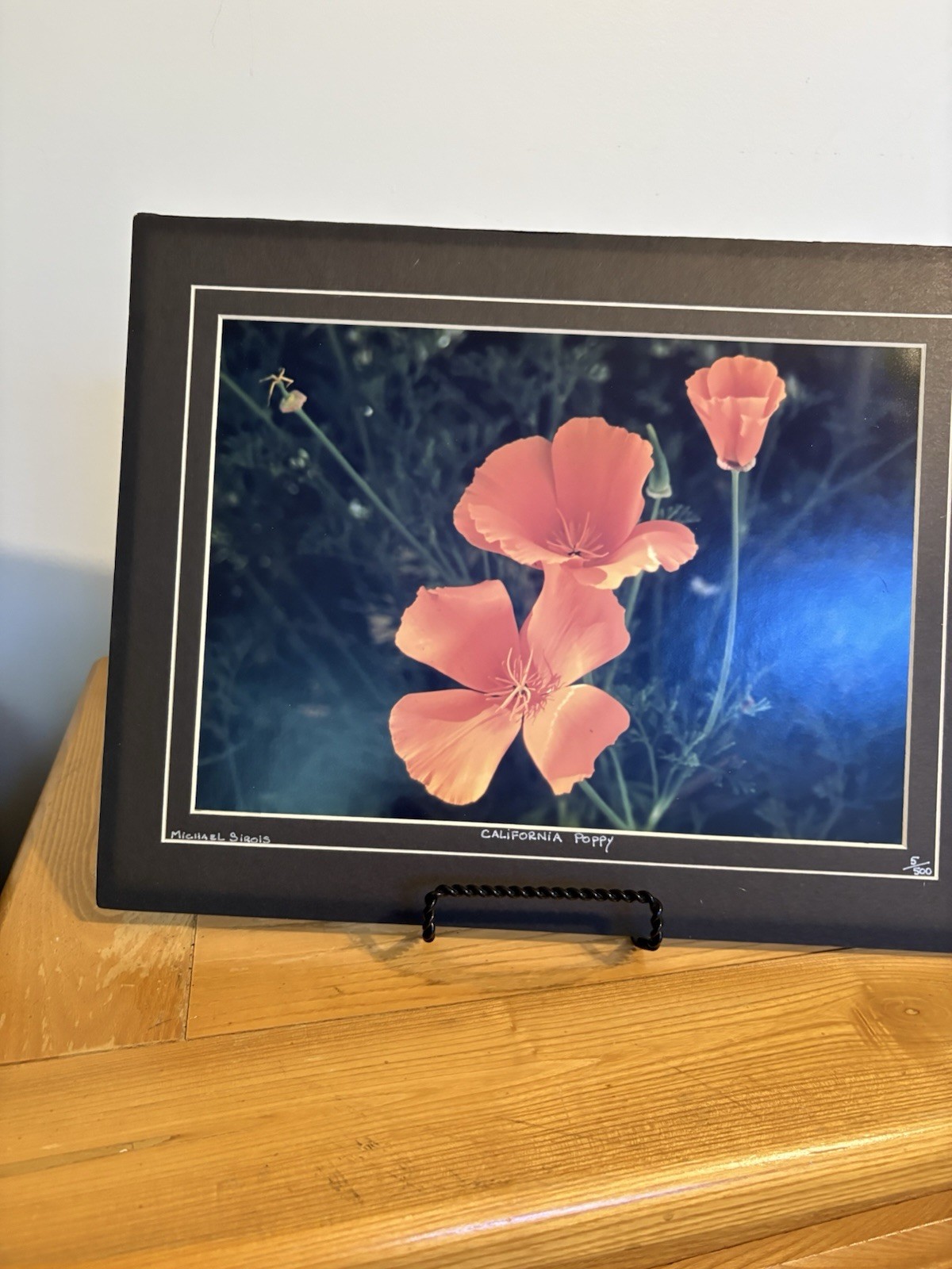 Michael Sirois Signed “California Poppy” Color Landscape Floral Photo, Matted