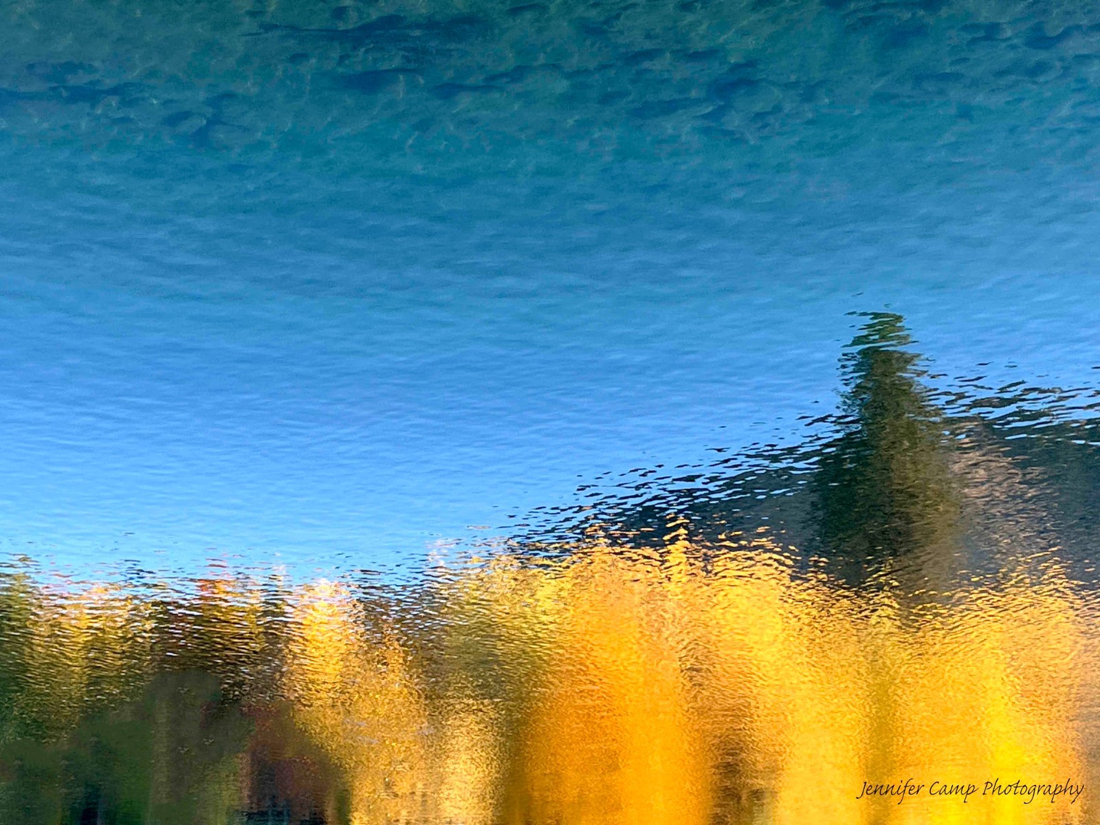 Water Blue Yellow Gold Autumn Fall Tree Reflection Abstract Art Photograph Print