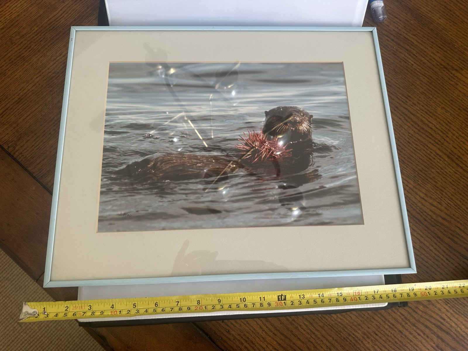 Limited Edition Signed Fine-Art Nature Photograph By Thomas Mangelsen