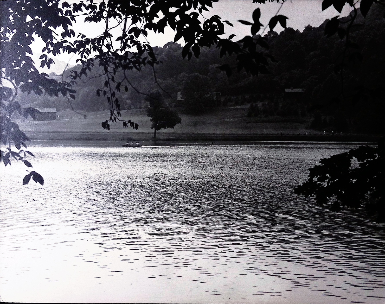 Vintage Art Board Photograph Serene Lakeside View Under Tree Branches and Hills