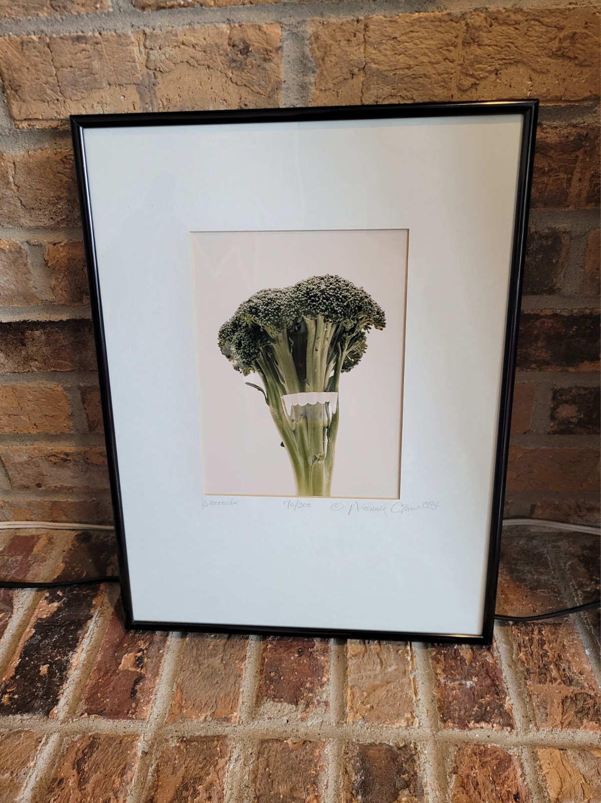 Michael Craven Fine Photography “Broccula” 1994 Signed Framed 70/300 Print 1998